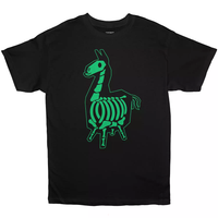 Fortnite Big Boys X-Ray Llama Short Sleeve T-Shirt, Sizes 8-18/20