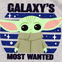 Star Wars The Mandalorian Boys 2T-7 Baby Yoda Galaxy's Most Wanted Shorts Set